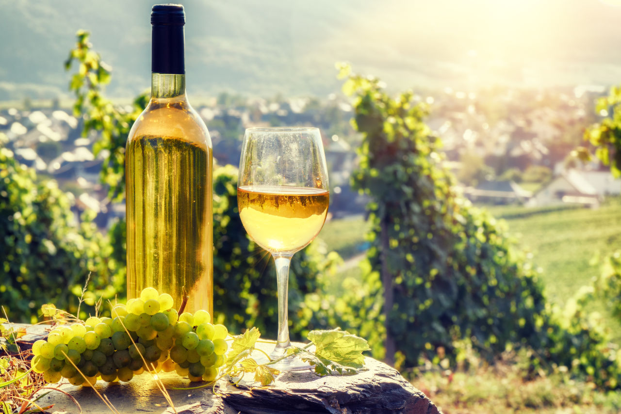 Mosel Wein Trauben